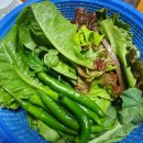 파주초등학교 이미지