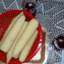 외룡카포스 이미지