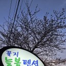 꽃지늘봄펜션 이미지