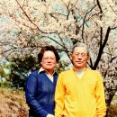 한솔