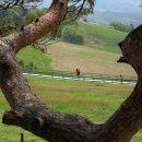 정우목장 이미지