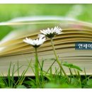 이룸메드 이미지