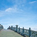 천제연폭포 이미지