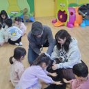 충청동물병원