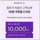 270-3058 | 마켓컬리 첫구매 100원 추천 상품 나폴레옹 쿠키 선물 세트 답례품 추천!