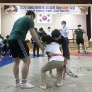 단풍미인 이미지