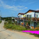 삽시도팬션나라 이미지