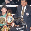 아이디 복싱 이미지