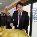 돼지저금통 이미지