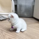 협성서부 | 부산 초량동커튼설치 협성마리나G7 고급스러운 스타일링