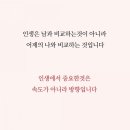 인셀덤신화