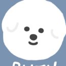 아웃독(OUT DOG) 이미지