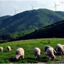 하늘아래목장 이미지