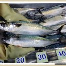 에스비 아쿠아 이미지