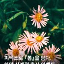 세기 | Phoenix 200 &amp; 세기몰 하만 사계절 출사 후기