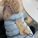 (유)비조이 | 강아지하네스 추천 NFC 칩 탑재 센슈얼 하네스 후기