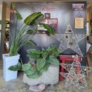 고현로 14길 이미지