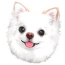 와와멍# 이미지