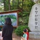 김수녕양궁장 이미지