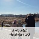 경기 겨울방학 체험프로그램 추천 안산갈대습지 생태해설
