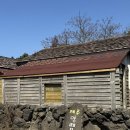 7346 | [제주 양떼목장] 제주도 애월 가볼만한곳 동물체험 입장료 | 내돈내산후기