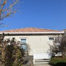 고내리본 이미지