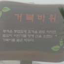 고흥주유소 이미지