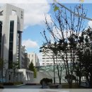 부천대학 이미지