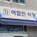 수협구내식당 | 울산 현지인 추천 맛집 슬도 근처 맛집 어업인 식당(수협 구내식당)