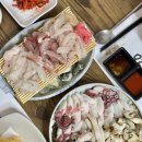 주문진항만 | 강릉 로컬 맛집 주문진항샵20 자연산 막회와 문어숙회 횟집 전화예약 성공 후기