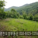 동영천IC주유소 이미지