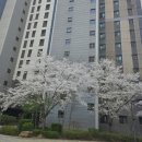 방서우리동네공인중개사사무소 이미지