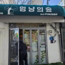 멍냥의숲
