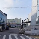 엠지의원 세계로컬신문