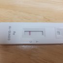 로하스이비인후과의원 이미지