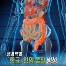 장 건강에 좋은 5가지 과일 이미지