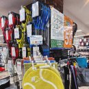 윈저쥬니어 이미지