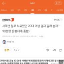 서해선 철로 누워있던 20대 여성 열차 깔려 숨져…90분만 운행재개(종합) 이미지