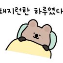 등대회초밥