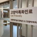 서울앤탑 동물병원 이미지