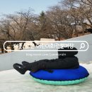 자연동산어린이집 | 어린이대공원 SLP 서울레저파크 어린이회관 눈썰매장 주차 할인 예약