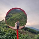 GR(하동군)-[악양서로]-상-2 | 여행지가 인생 힐링 여행지로, 구례 하동 2탄[25/6/6~8]::쌍산재 하동이모션 화개장터 정금차밭 매암...