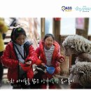 순수목장 이미지