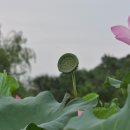 궁곡지 이미지