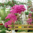 오색허브농원 이미지