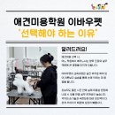 보람애견미용 이미지
