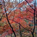 옥산3리 이미지