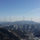 근자농장 티스토리