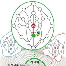 암세포를 다시 정상세포로 만들 수 있을까? (연구) 이미지