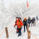 한라산 연합뉴스